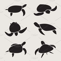 turtle silhouettes on white background