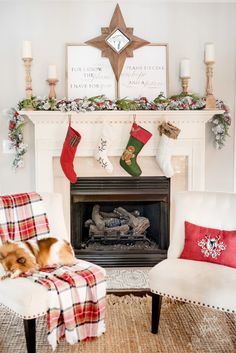 a dog laying on a chair in front of a fire place with stockings hanging from the mantel