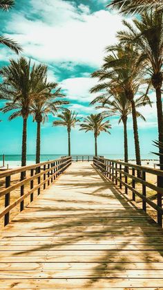 a wooden walkway leading to the beach with palm trees on both sides and an arabic writing above it