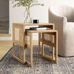 a living room scene with focus on the end table and chair, which has a plant in it