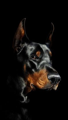 a black and brown dog with horns on it's head looking to the side