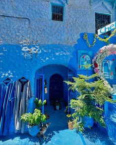 a blue building with surfboards and plants in front of the door, on a sunny day