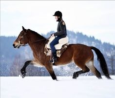 a woman riding on the back of a brown horse across snow covered ground with trees in the background