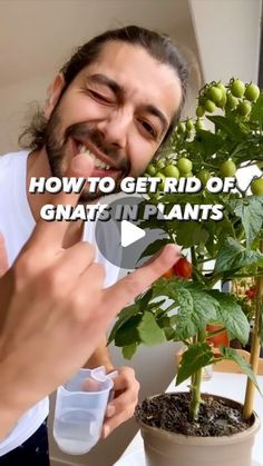 a man is smiling and pointing at a plant with the words how to get rid of giant plants