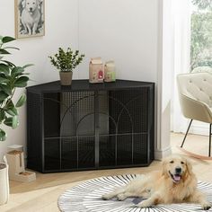 a large dog laying on top of a rug in a living room next to a plant