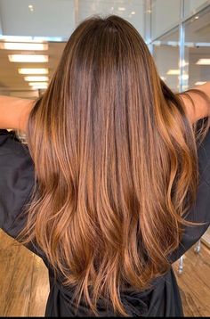 Auburn Caramel Hair, Copper Brunette Hair Golden Brown, Light Brown Auburn Balayage, Copper Balayage Brunette Straight, Light Brown Hair With Auburn Balayage, Auburn Balayage Straight Hair, Copper Balayage Straight Hair, Red Brown Hair Color Balayage, Copper Highlights Brown Hair