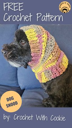 a dog wearing a crochet sweater on top of a blue couch with the title free crochet pattern