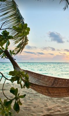 a hammock hanging from a palm tree on the beach at sunset or sunrise