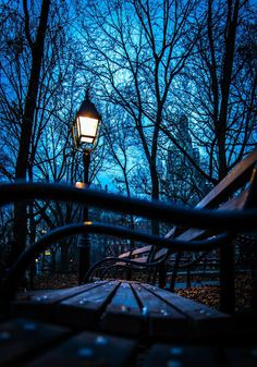 a street light in the middle of a park at night with trees and benches around it