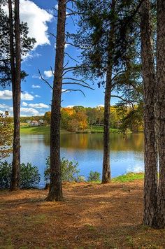 a lake surrounded by trees and grass