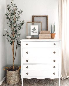 a white dresser sitting next to a potted plant