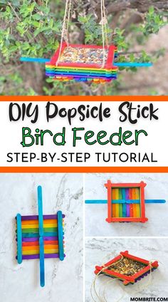 diy popsicle stick bird feeder with instructions to make it