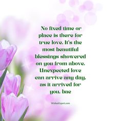 pink tulips in front of a white background with the words, no fixed time or place is there for true love