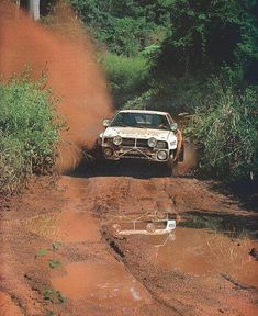 an old car driving down a dirt road in front of some bushes and trees with water on the ground