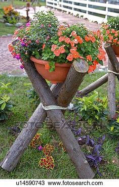 two potted plants sitting on top of wooden poles in the grass with flowers growing out of them