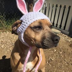 a brown dog wearing a white crocheted bunny ear flap hat with pink ears