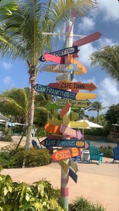 a pole with many signs on it in the middle of a tropical park, surrounded by palm trees