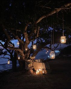 lanterns hanging from the branches of a tree are lit up with candles and other decorations