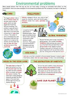 the environmental problem worksheet is shown in this graphic diagram, which shows what happens happen