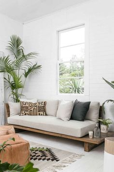 a living room filled with furniture and plants