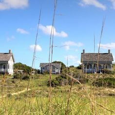 two houses on the side of a hill with tall grass in front of them and blue sky above