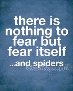 there is nothing to fear but fear itself and spiders