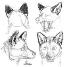 three different types of dogs'heads with their mouths open and eyes closed, one showing the