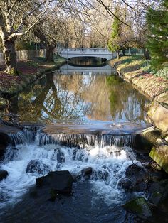 a small river running through a park next to a bridge