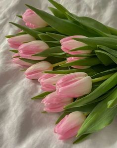 several pink tulips are laying on a white sheet with green stems in the center