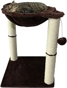 a cat laying on top of a scratching post