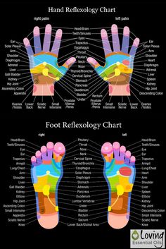 Applying essential oils on to the feet is an excellent method to reap EO benefits, large pores allowing for fast absorption, diy protective blend recipe is perfect for feet application. Reflexology Foot Chart, Hand Reflexology, Reflexology Chart, Reflexology Massage, Foot Reflexology, Young Living Oils, Large Pores, Oil Uses, Essential Oil Uses