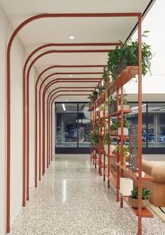 a long hallway with many plants on the shelves