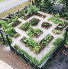 an aerial view of a garden with many different types of plants in the center and on the other side