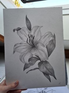 a pencil drawing of a flower on a piece of paper in someone's hand