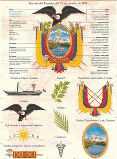 an old poster shows different types of birds and their emblems, with the names in spanish