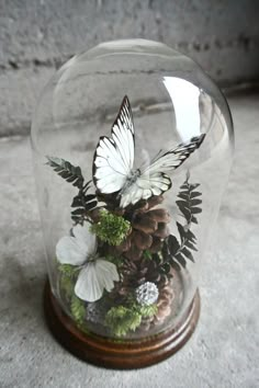 a white butterfly sitting on top of a pine cone in a glass dome filled with flowers