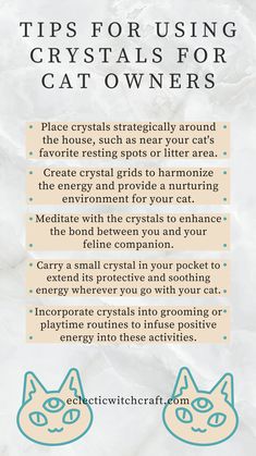 an info sheet with instructions on how to use crystals for cat owners