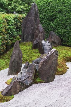 some rocks and moss growing on the ground