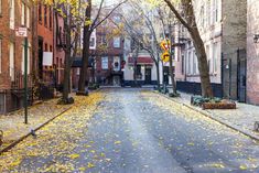 an empty city street in the fall with leaves on the ground and trees lining both sides