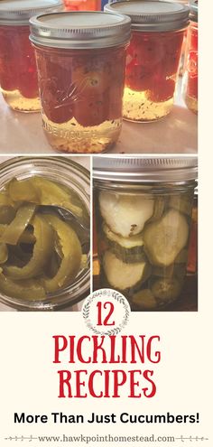 canning pickles in jars with text overlay reading 12 pickling recipes more than just cucumbers