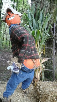 a scarecrow with a pumpkin on his head is picking up hay from the ground