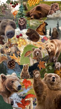 a collage of bears and other animals with autumn leaves, pine cones, acorns, snowflakes