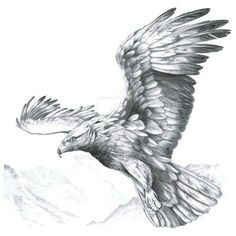 a drawing of an eagle flying in the sky