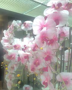 pink and white flowers are in a vase