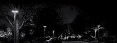 black and white photograph of park bench at night with street lights in the back ground