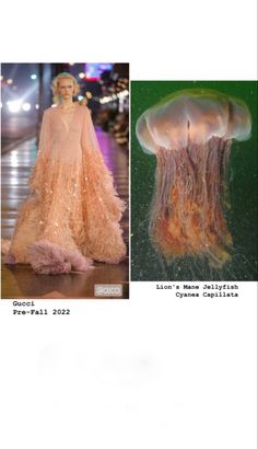 Biomimicry Fashion, Aquatic Fashion Inspiration, Jellyfish Fashion Design, Jellyfish Inspired Clothing, Ocean Inspired Fashion, Fashion Inspired By Sea Creatures, Fish Inspiration, Jelly Fish Inspired Garments, Fish Fashion