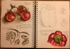 an open notebook with drawings of tomatoes and peppers