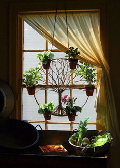 potted plants are hanging from the window sill