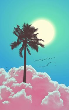 a palm tree sitting on top of a cloud filled sky