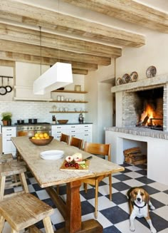 a dog is standing in front of a table with food on it and an oven